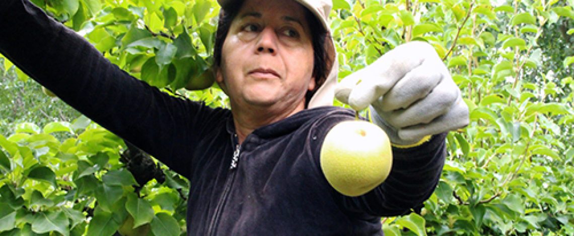 Agrogénero N°11, julio de 2016