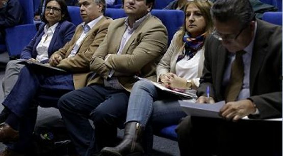 Aceitunas y tomates se consolidan como los  principales productos agrícolas de Arica y Parinacota