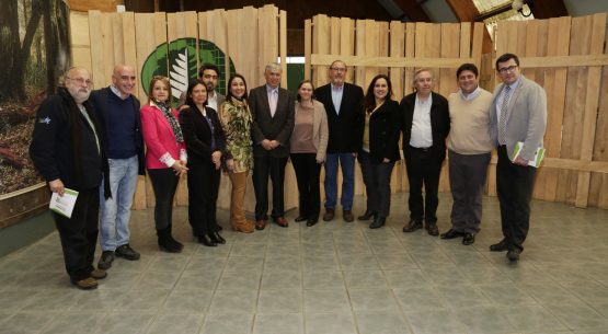 Superficie frutícola de la Región de Los Ríos se incrementó en un 93% en los últimos diez años