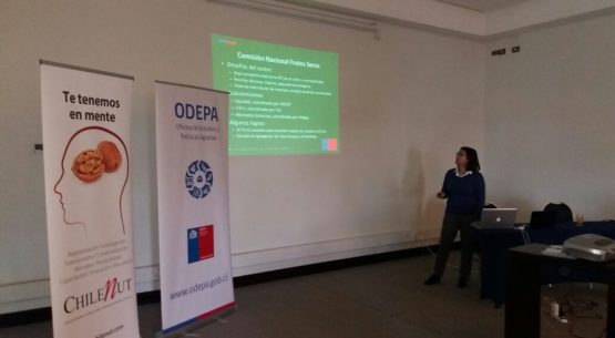 Directora de Odepa, Claudia Carbonell, expuso en seminario sobre el sector de los frutos secos