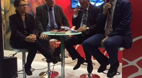 Lanzan concurso de bebidas espirituosas que se desarrollará en Chile en 2017