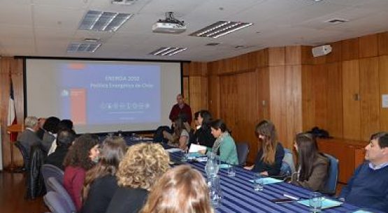 “Política Energética de Chile 2050, contribución y oportunidades para el sector silvoagropecuario” fue la charla que se realizó para los profesionales de Odepa