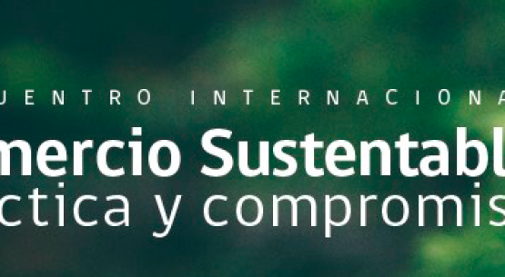 ProChile y Odepa realizan Encuentro Internacional de Comercio Sustentable para Pymes