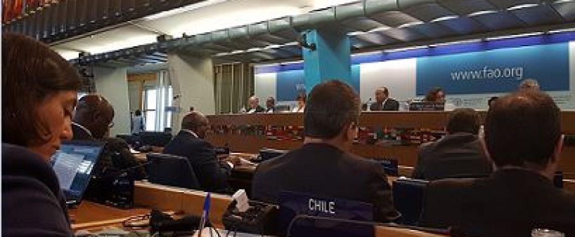 Directora de Odepa participa en la 71° Reunión del Comité de Problemas de Productos Básicos de FAO.
