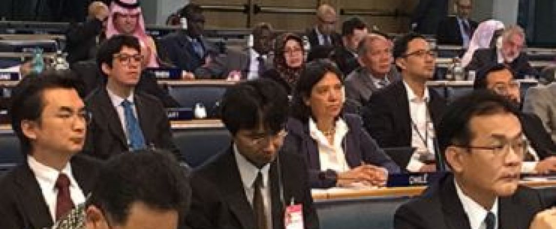 Conclusiones del Comité de Problemas de Productos Básicos de FAO