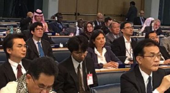 Conclusiones del Comité de Problemas de Productos Básicos de FAO