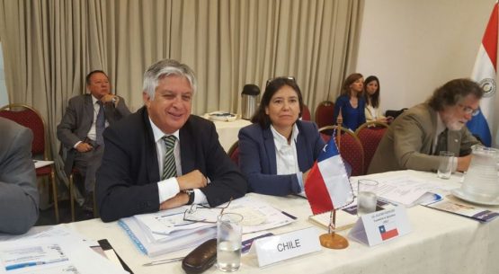 Ministros del Cono Sur arriban a acuerdos clave en XXXII Reunión del CAS