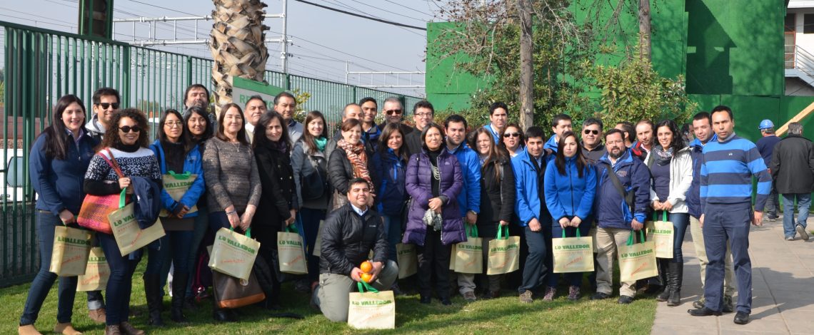 Odepa diariamente en terreno captura precios de alimentos tanto en Santiago como en regiones