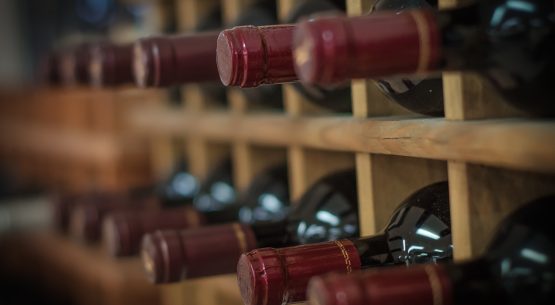 Informe de Producción de Vinos 2026