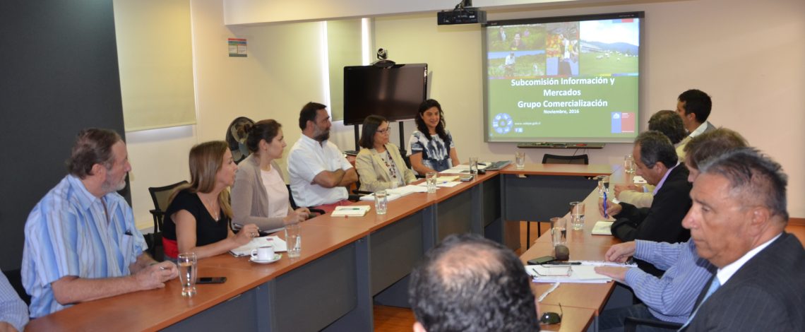 Se reunió la Subcomisión de Comercialización del Trigo, coordinada por la directora de Odepa, Claudia Carbonell.