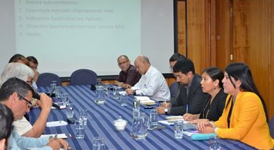 Se realizó una reunión de la Comisión Nacional de Apicultura, lidera por la directora de Odepa, Claudia Carbonell.