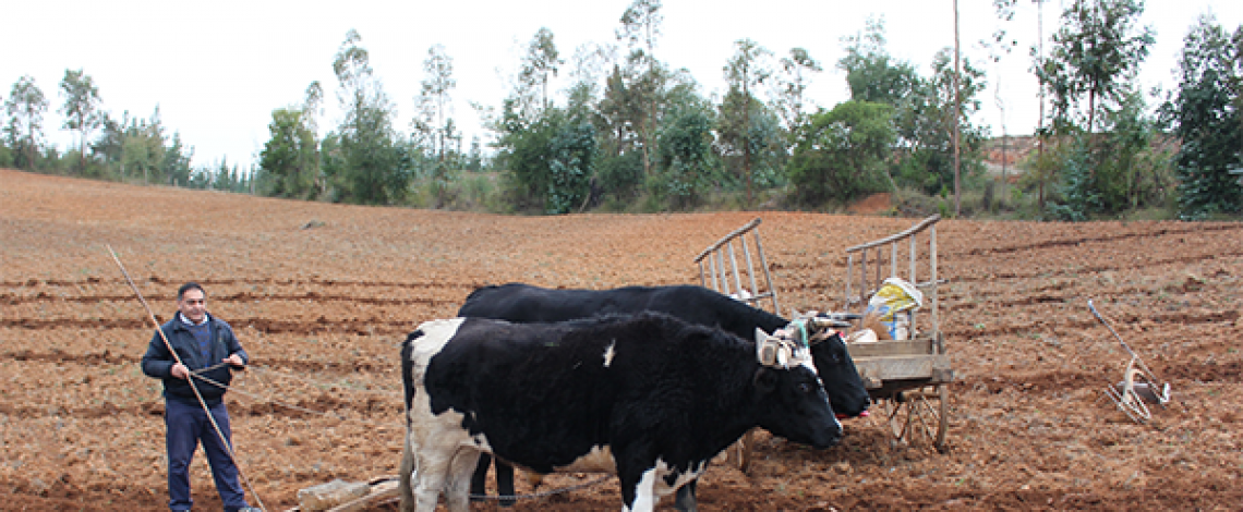 Coyuntura Internacional III – Proyección internacional de la Agricultura Familiar Campesina