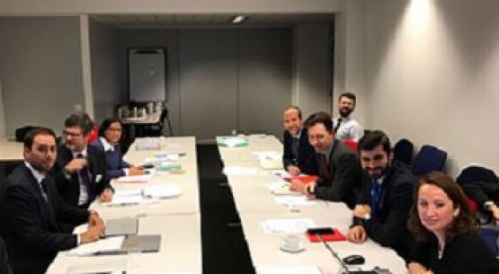 Gira de la directora de Odepa, Claudia Carbonell, a Bruselas