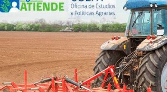 Más de 311 herramientas de apoyo para los agricultoras y agricultores en la plataforma de Odepa Agro Atiende