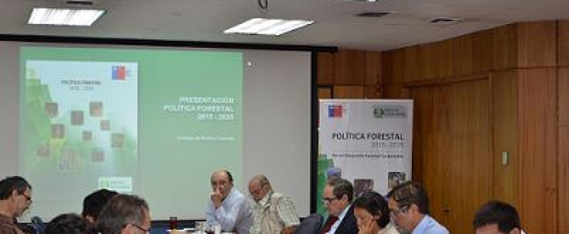 Consejo de Política Forestal estudia plan para recuperar patrimonio afectado por incendios forestales
