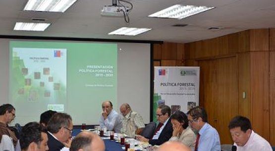 Consejo de Política Forestal estudia plan para recuperar patrimonio afectado por incendios forestales