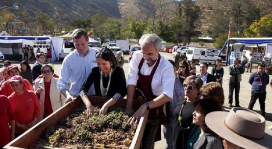 Autoridades entregan “Sello de Origen” a chicha y dulces de Curacaví