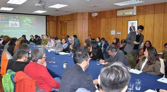 Se reunió la Comisión Nacional Hortícola