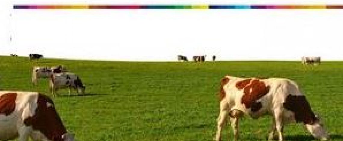 Se realizó una reunión  de la Comisión Nacional de la Carne Bovina