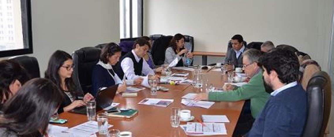 En el marco del Consejo Asesor del Ministro de Agricultura para la protección, promoción y desarrollo de la Denominación de Origen Pisco, se reunió el Grupo de Trabajo del Pisco
