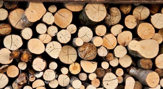 Caracterización de la cadena de producción y comercialización de la industria forestal: estructura, agentes y prácticas