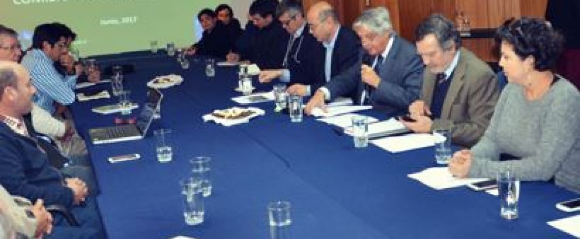 Con la participación de representantes de la industria arrocera, de productores y del sector público y privado, se realizó la reunión anual de la Comisión Nacional del Arroz, coordinada por Odepa.