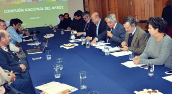 Con la participación de representantes de la industria arrocera, de productores y del sector público y privado, se realizó la reunión anual de la Comisión Nacional del Arroz, coordinada por Odepa.