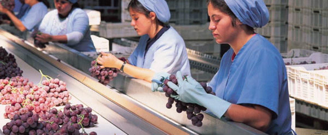 Evolución de la infraestructura en la industria frutícola en Chile