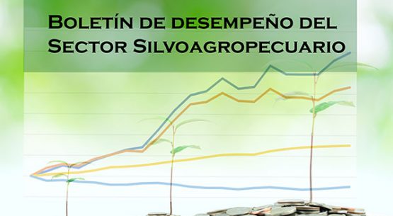 Boletín de desempeño del sector silvoagropecuario. Octubre de 2017
