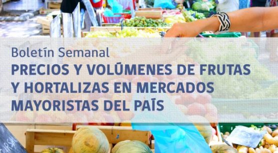 Boletín semanal de precios y volúmenes de frutas y hortalizas en mercados mayoristas del país