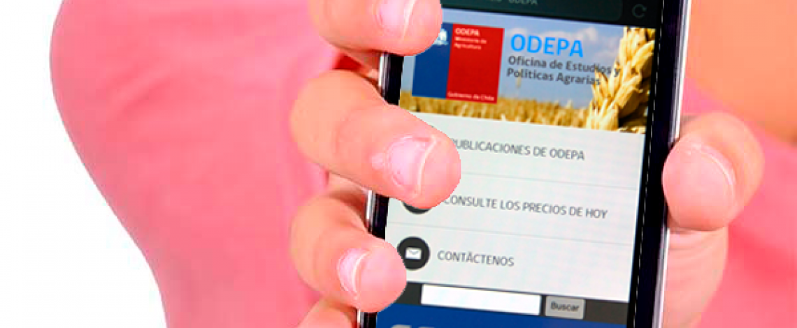 Informe final de programas piloto en formación y uso de recursos tecnológicos vía telefonía móvil a productores agrícolas (Mobile learning o M-learning).