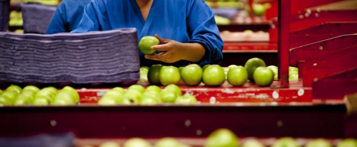 Empleo agrícola en el trimestre noviembre 2001 – enero 2002