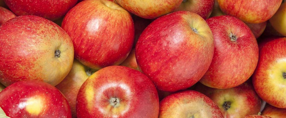 Manzanas: una temporada de alto valor de las exportaciones
