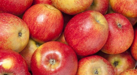 Manzanas: una temporada de alto valor de las exportaciones