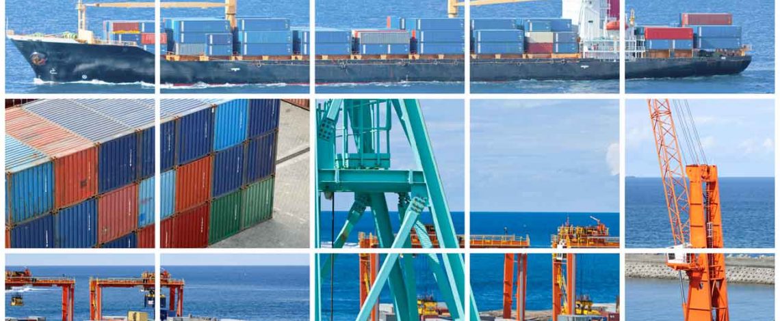 Informe V reunión de negociación sobre la agricultura en OMC