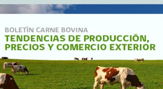 Boletín carne bovina: tendencias de producción, precios y comercio exterior. Abril de 2014