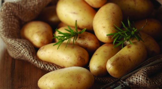 ¿Cómo ha estado el precio de la papa?