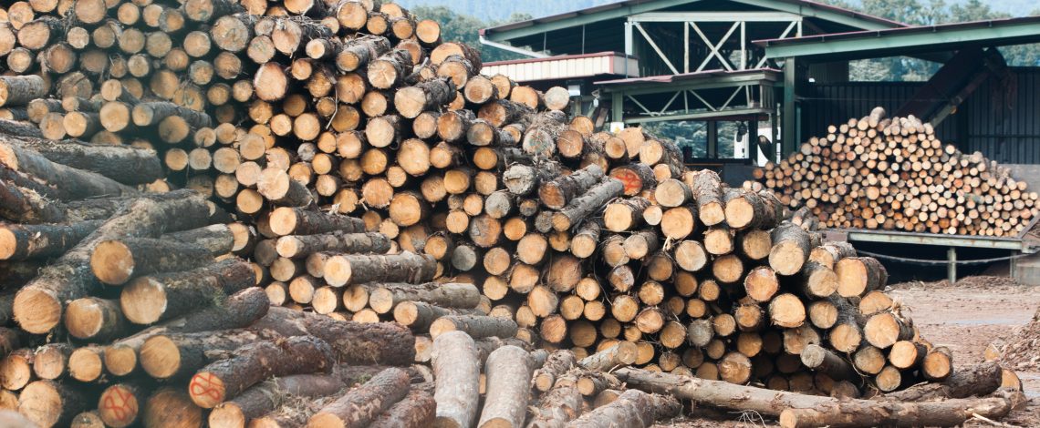 Celulosa chilena: Avances y perspectivas de su comercio exterior. Enero de 2018