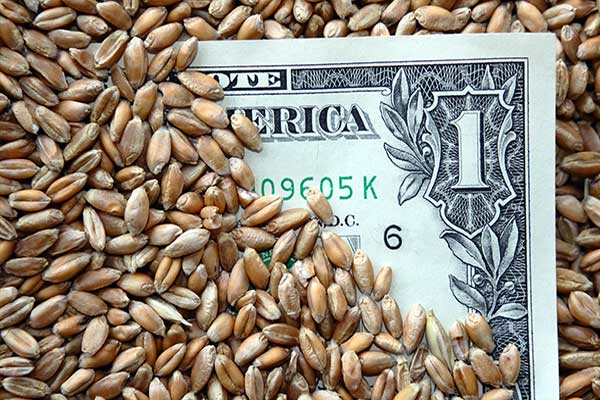 trigo y dólar norteamericano