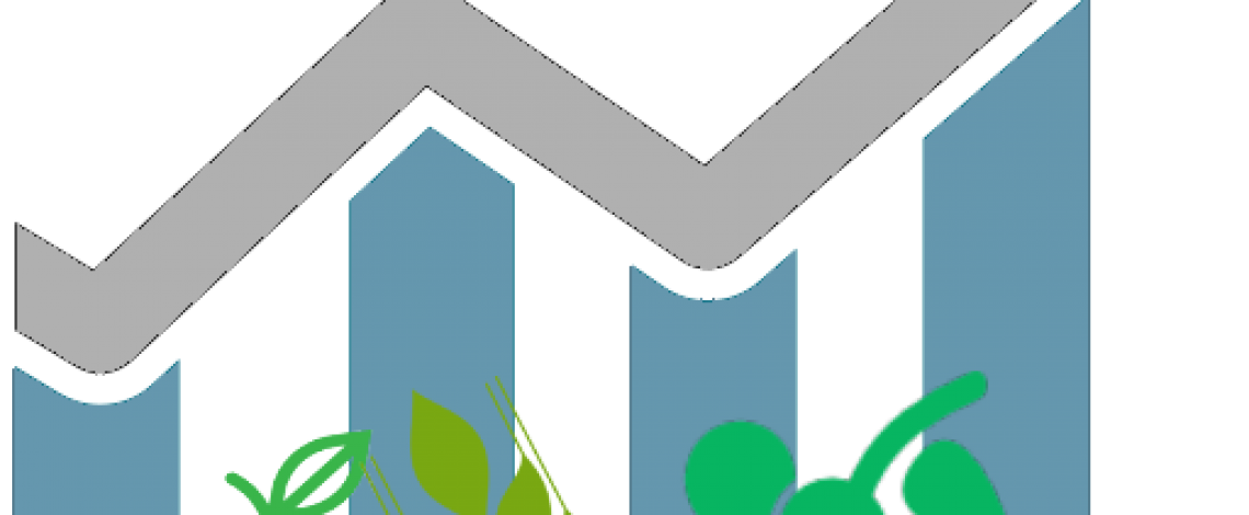 VIII Encuesta de Presupuestos Familiares: El mayor porcentaje se destina a los ítems alimentos y bebidas no alcohólicas (18,7% del gasto)