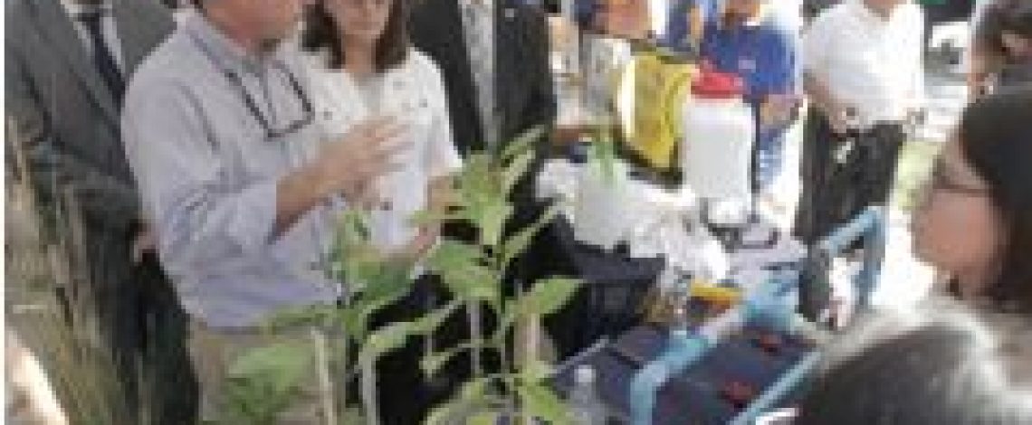 Ministro refuerza mensaje del Presidente Piñera en materia de gratuidad educacional