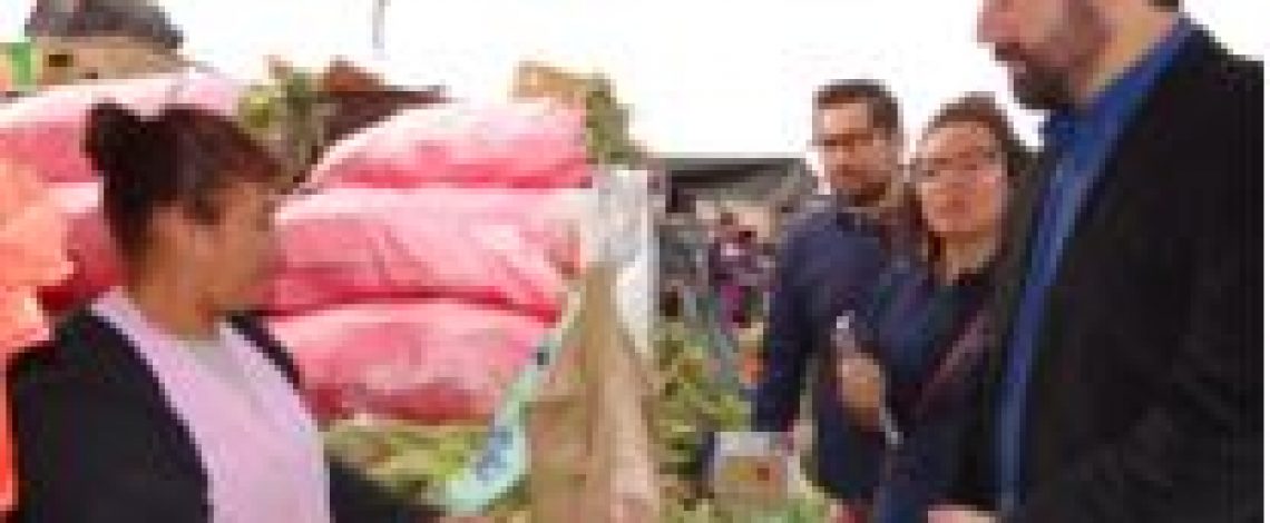 Odepa trabaja a diario para otorgar transparencia y claridad en los precios del agro