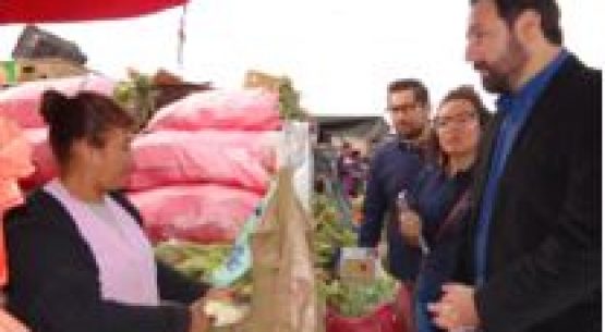 Odepa trabaja a diario para otorgar transparencia y claridad en los precios del agro