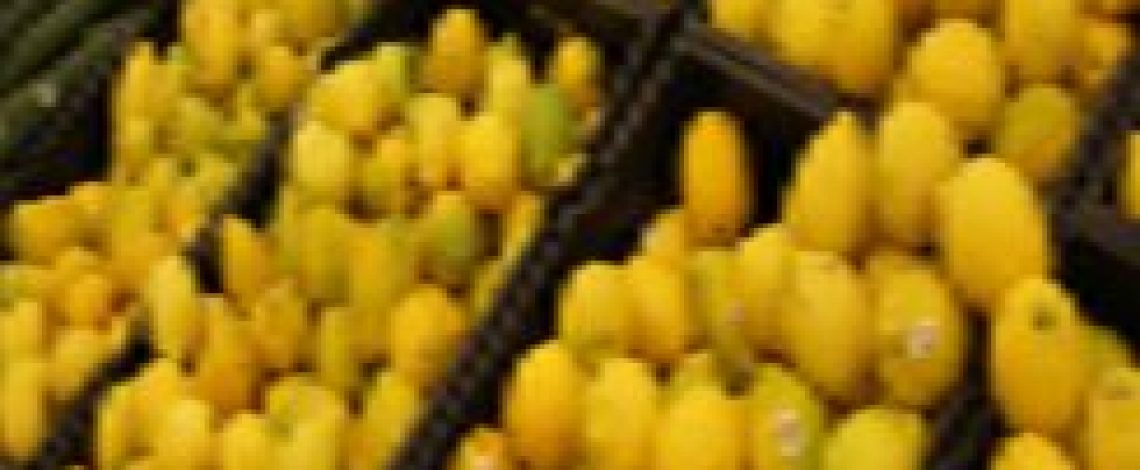 Ministro Walker anunció que limones chilenos podrán ingresar de forma más expedita a Estados Unidos gracias al Systems Aproach