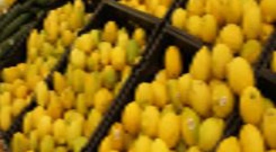 Ministro Walker anunció que limones chilenos podrán ingresar de forma más expedita a Estados Unidos gracias al Systems Aproach