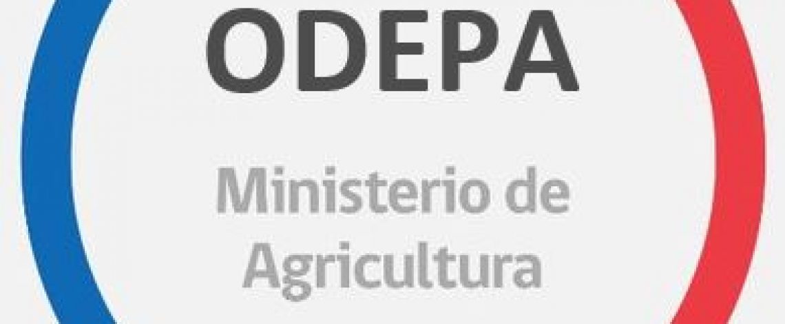 Lista de concursos de Indap para la agricultura familiar campesina