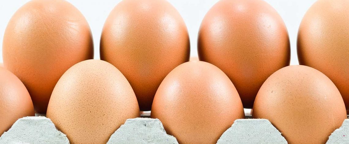 Panorama y mercado del huevo