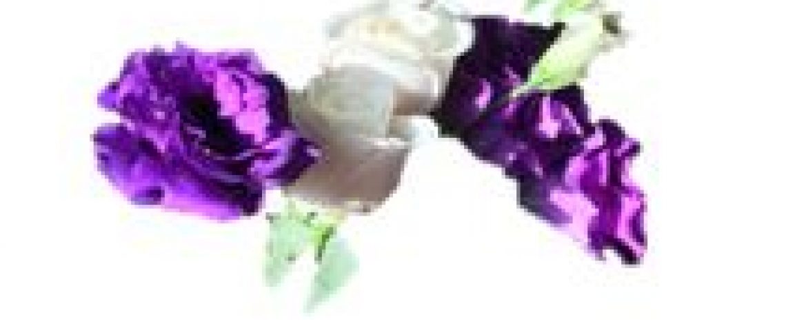 Holanda, EE.UU. principales países de destino de las flores de corte. Consulte en línea la Matriz de Comercio Exterior de Odepa