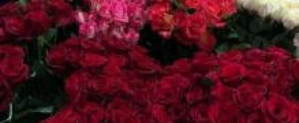 Consulte en línea los precios de flores, capturados por Odepa, en el terminal Panamericana Norte de Santiago y en el mercado de Temuco 