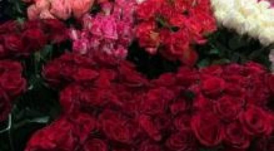 Consulte en línea los precios de flores, capturados por Odepa, en el terminal Panamericana Norte de Santiago y en el mercado de Temuco 